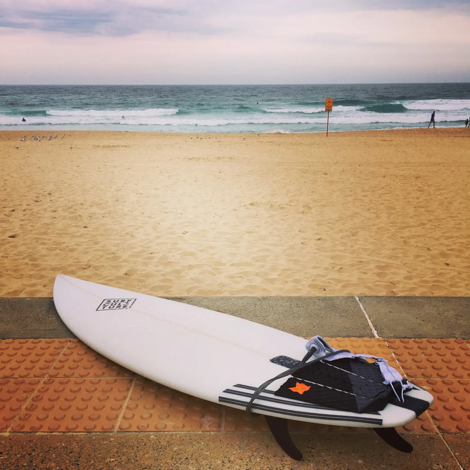 Surfing in Sydney